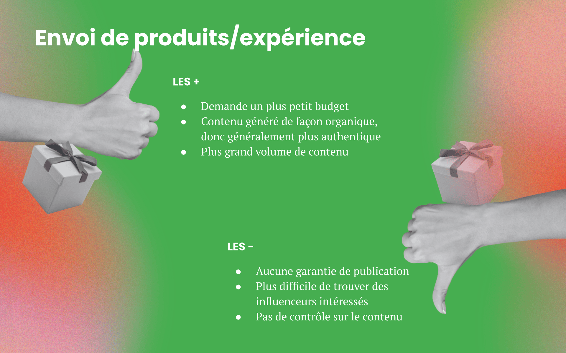 Influencer Webinar (11)